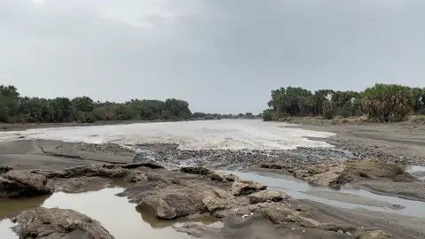 عليك الهجوس ليا حنى السيل في الوادي.#عرمرم_الجنوب_اكسبلور_عسير #fyp #اكسبلورexplore 