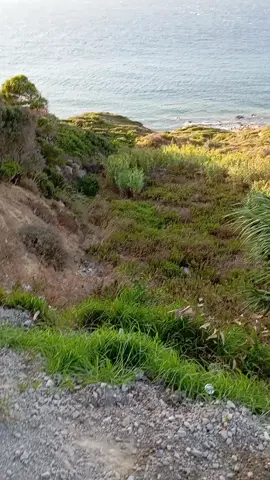 #creatorsearchinsights #EraFlowers #portoi #fouryou #CapCut 