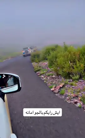 اب الشعر (السده_باب البرح_سامن_ذي هرم)#اكسبلور #طبيعه #اليمن #ضباب #مطر 