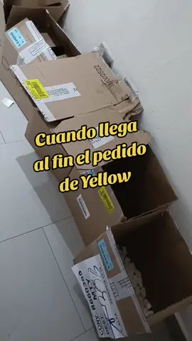 Cuando llega al fin tu pedido de #yellowalfaparf  #alfaparfhaircolors  Cuando agendamos tu cita ? No tengas miedo  al  cambio 🤩 💜💜💜  Agenda tu cita   📍 Paseo de los leones #1930 cumbres 1er sector. 📲8184621335 Gracias a todas las clientas por confiar en nosotros y bienvenidas las nuevas clientas. #cabellosaludable #mtynlmexico🇲🇽 #pintateelpelo #balayagehighlights #hairstyle #blondehair #labonteoficial 