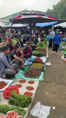 Chợ Phiên San Thàng Phiên Sáng Chủ Nhật🥰