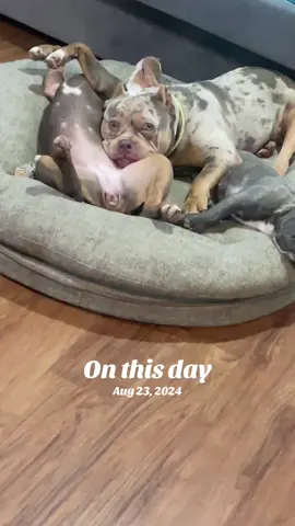 #onthisday 