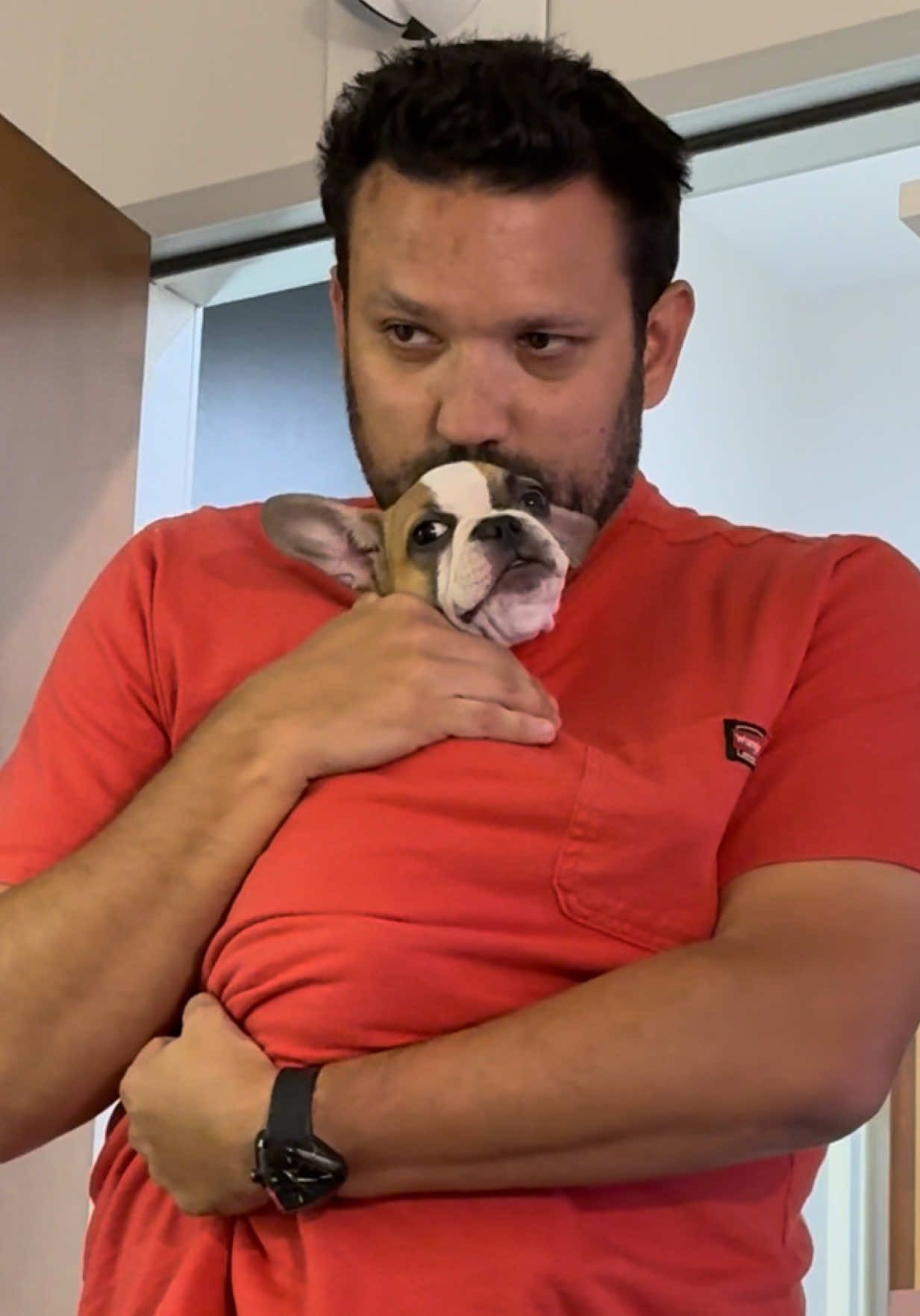 Not all soul mates are human🥹 #dog #Love #bestfriend #funny 