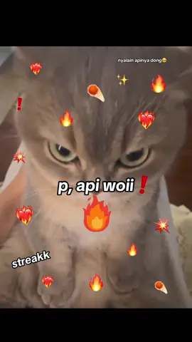 #api #streak #streaksaver #streakreminder #f 