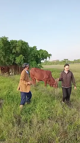 #BuiDanh #vuicungtiktok #xuhuong #