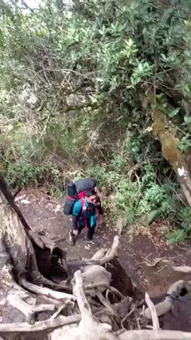 kegiatan laki-laki tidak ada yang beli telur gulung#dempo3159mdpl #pendakiindonesia #pendakigunung #fyppppppppppppppppppppppp #fyp 