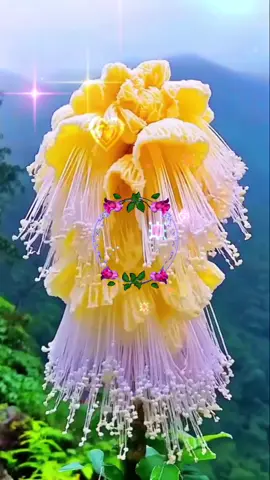 #happiera1tiktok #foryou #sceneryvisual #showsomelove #creator 