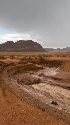 #وأدي_رم #الاردن #اكسبلور #تبوك_الورد_تبوك_تيماء_ضباء_حقل #سكاكا_الجوف_اكسبلور 