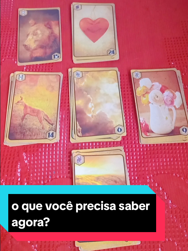 o que você precisa saber?adaptar para a sua situação!gratidão!✨️🍀❤️#ciganos #revelam #fy #vaiprofy #tarot 