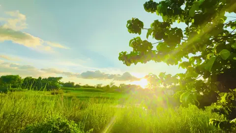 আল্লাহ সবাইকে পাঁচ ওয়াক্ত নামাজ আদায়ের তৌফিক দান করুন আমীন 💖💔❤️‍🩹#foryou #foryoupage #আনিসুর_রহমান_আশরাফী💖💖 
