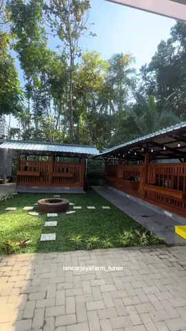 Minggu di kandang 😇🦬😍 #peternakkambing #kandangkambing #kambingpe #kambingkepalahitam 