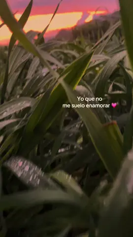 💘🥹#fypシ゚ #viral #paratiiiiiiiiiiiiiiiiiiiiiiiiiiiiiii #viraltiktok 