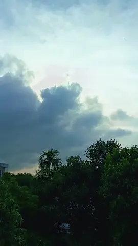 বেদনা মধুর হয়ে যায় 🕊️🤍🕊️#foryoupage #viralvideo #foryou @tuntune @💙💫SM Jewel💫💙 @Green Life 