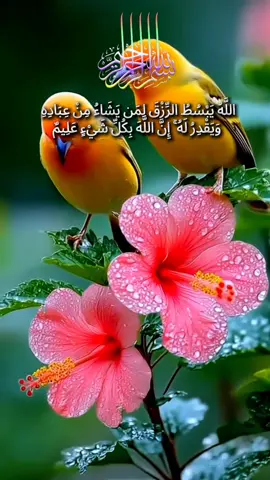 قرآن كريم -سورة العنكبوت  محمد الفقية #قران_كريم #تلاوة_خاشعة #islamic_video #سورة_العنكبوت #محمد_الفقيه 