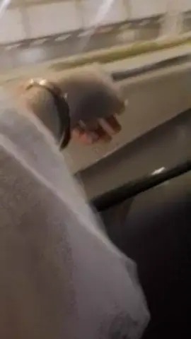 بحب اطريق البعيده واطلع ايدي من الشباك زي الطفال بحس اني مالكه ادنيا 🥰🥰❤