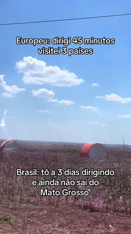 #viagem #matogrosso #agro #pecuaria 