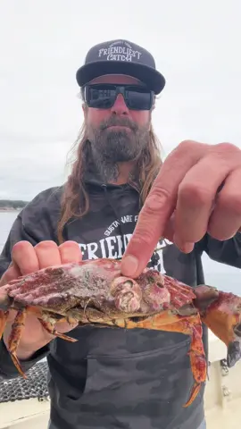 Barnacle De Chronicles #asmr #friendliestcatch #barnaclechronicles 