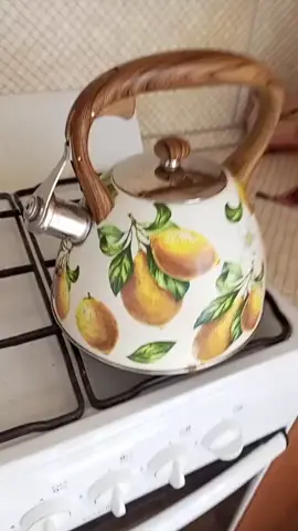 Teapot💥🧨💔🥀 #fyp #niche #funny #furryinflation #rng 