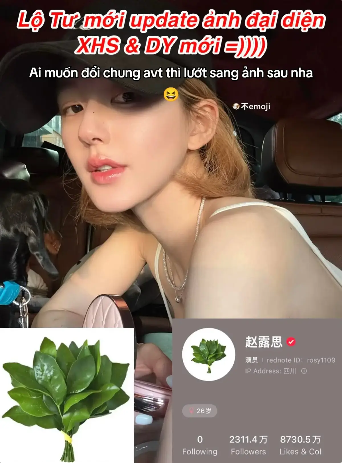 🌿có bạn fan Quảng Đông up video cách truta đuổi vận xui online bằng lá bưởi cho Tư, đây là cách người QĐ hay làm, Lộ Tư đã tim bài đăng và thay đổi ảnh đại diện xhs & douyin thành hình lá bưởi đuổi vận xui vào đầu tháng cohon  👉cre: Muốn gặp nhau, không xa lắm,Viễn Phó Tương Tư #赵露思 #zhaolusi #trieulotu #rosyzhao #zhaomasy 