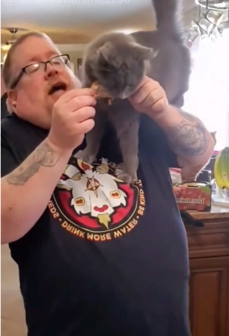 The kitten says,”l’ll only eat a tiny bit.”😸#cat#cats#catlove#catsoftiktok #funny 