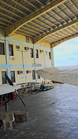 Primary Flight Controls of an Aircraft #fyp #cessna172skyhawk  #ailerons #elevator #rudder 