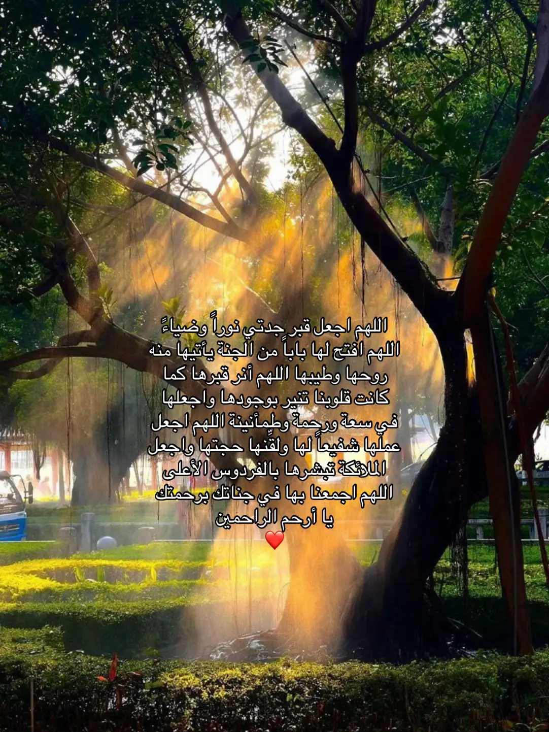 اللهم امين يارب دعواتكم لجدتي برحمه😢#جدتي #explor #fyp #foryou #قران_كريم 