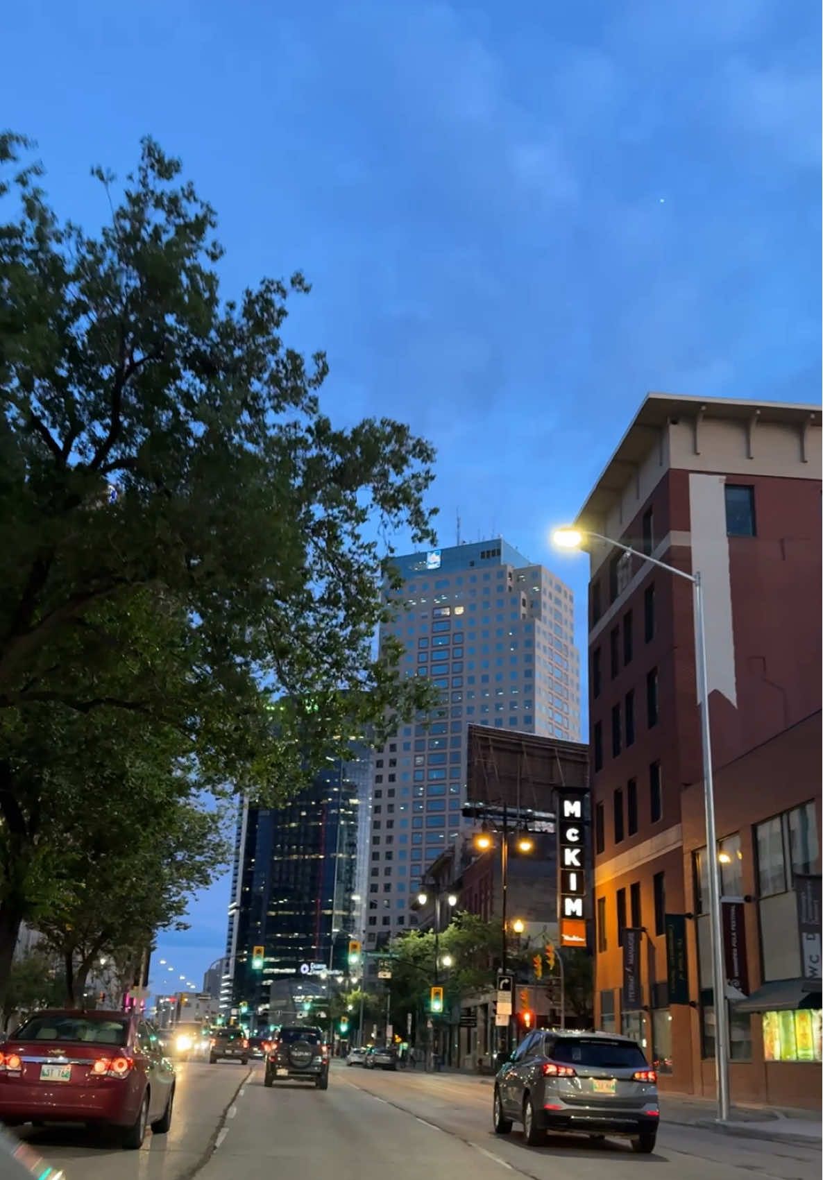 evening drive in DOWNTOWN Winnipeg 🇨🇦❤️#canada🇨🇦 #tiktokcanada #winnipeg #fyp #rek 