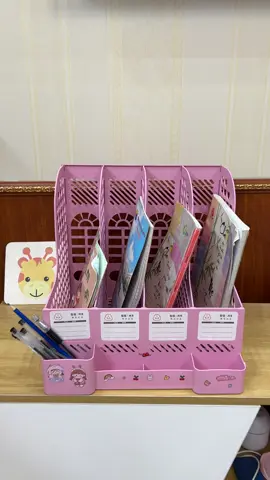 Kệ Đựng Tài Liệu #xuhuong #kedungtailieu 