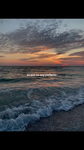 Guaco lo es todo🤍 #fyp #foryoupage #guaco #loerestodo #paratiiiiiiiiiiiiiiiiiiiiiiiiiiiiiii 