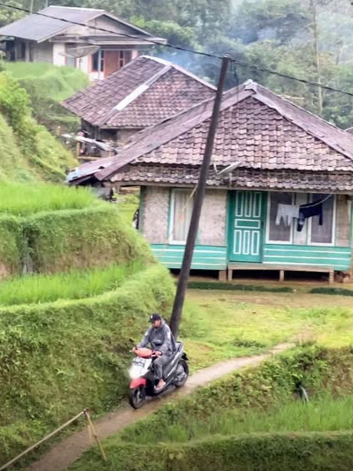 Kampung Yang Sejuk Tanpa Polusi : Potret Ketulusan Alam dari Cianjur Kidul Foto dan Inspirasi Netizen Cianjur Kidul, 22 Agustus 2025 Sebuah foto yang diunggah oleh akun FB [@Kang Iyan Cianjur Kidul] pada sore hari telah menyita perhatian publik. Dengan caption singkat namun penuh makna, “Kampung Yang Sejuk Tanpa Polusi”, unggahan ini menampilkan lanskap pedesaan yang tenang: rumah-rumah beratap genteng tradisional, hamparan sawah bertingkat yang hijau, dan seorang pengendara motor yang melintasi jalan sempit di antara ladang. 🌿 Narasi Visual yang Menyentuh Tanpa perlu kata-kata panjang, foto ini berbicara tentang harmoni. Tentang kehidupan yang berjalan pelan, jauh dari hiruk-pikuk kota. Tentang udara yang bersih, tanah yang subur, dan rumah-rumah yang berdiri bersahaja di pelukan alam. Komposisi foto memperlihatkan keseimbangan antara manusia dan alam. Sang pengendara motor, satu-satunya figur manusia dalam frame, tidak mendominasi—ia justru menjadi bagian kecil dari lanskap yang lebih besar dan lebih tenang.
