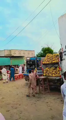 مدینہ کمیشن شاپ کندیاں#شھزاد #اکرام #خرم 