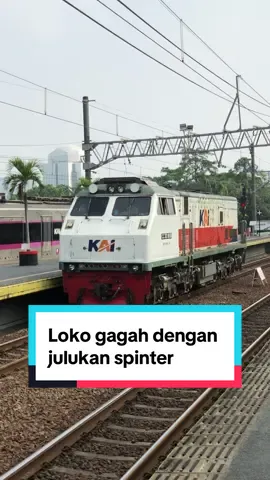 A nya Aerodinamis, jadi inget ini loko bawa argo lawu sebelum adanya CC 206 #keretaapi #keretaapiindonesia #fyp #fypage #fypシ゚ 