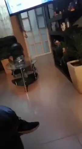 Parte 2. 🍄🍀🪵Duende, Gnomo ó Troll? 🤨✨ REAL 1000% 