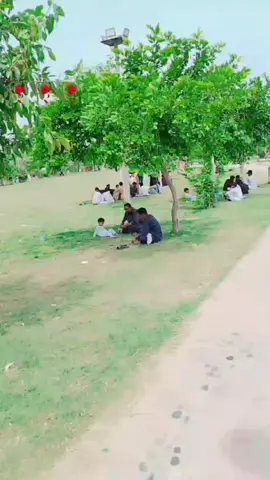 علی حسن خان 🥰 ❤️❤️❤️❤️❤️💯❤️❤️❤️❤️❤️