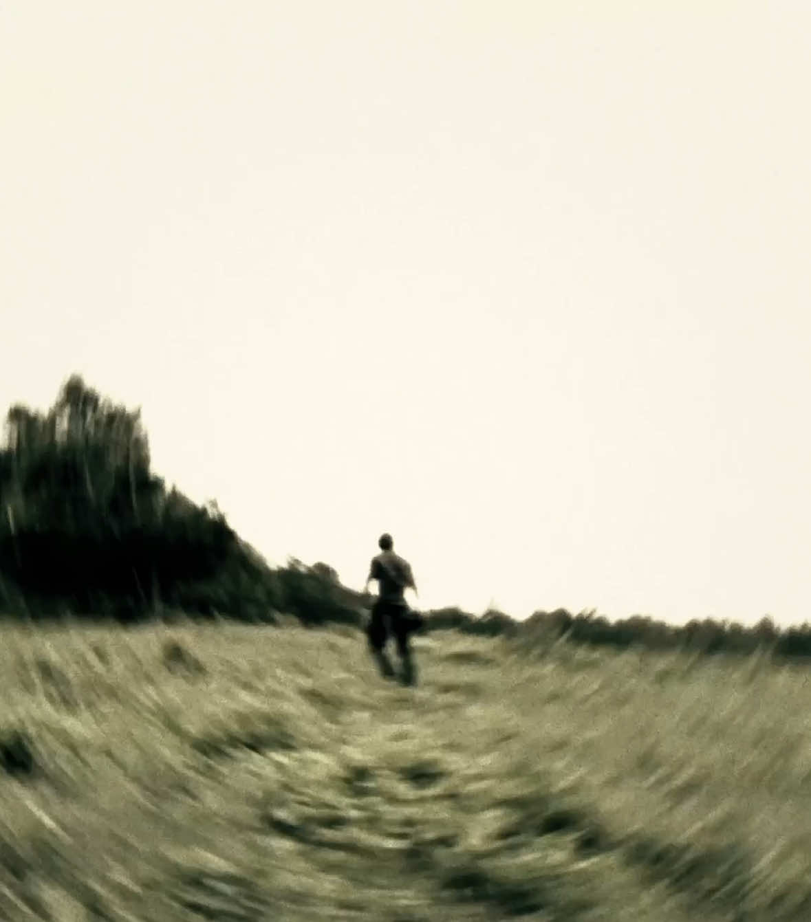 gotta be something after // song: east coast - alex g // scp: 411 // #TWD #fyp #foryoupage #rickgrimes #thewalkingdeadedit 