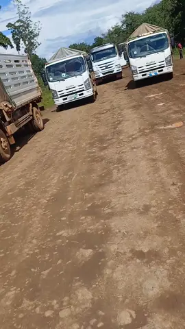 #ethiopian_tik_tok🇪🇹🇪🇹🇪🇹🇪🇹 #ppppppppppppppp #hiopian_tik_tok🇪🇹🇪🇹🇪🇹🇪🇹ሀገሬ💚💛❤ወንድሜ #ppppppppppppppp 