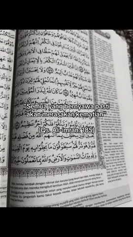 Allah 🫶🏻 #fyp #quotesislami #aliimran #185 #islamic_video 