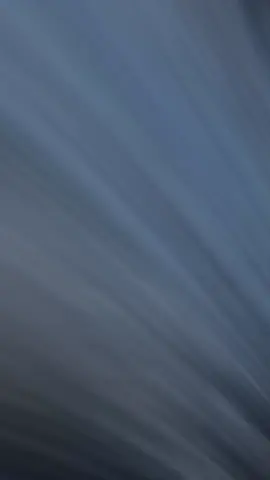 #diadebrujas #hallowendecoration #spiders #scarytiktoks #halloween 