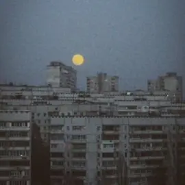 пошлая Молли - райские цветы instrumental  #пошлаямолли #пм #райскиецветы #инструментал 