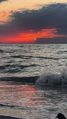 #ludmilayakovchisha ##sunrise #sea #рекомендации 