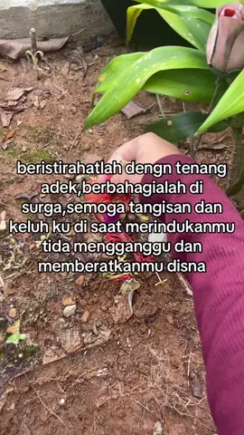 teryata udh 2 tahun ya km pergi ny dek, kaka kngn tau harus ny kaka ada temn ny harus ny kaka jagain km tapi mlh endingan ny gini, bln dan tgl yg bikin kaka antara seneng dan hancur , seneng km lahir tapi juga hncur krna kehilangan km #fypage 