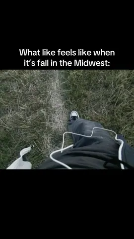 #moodboard #fall #auttumn #midwest #nostalgia #aesthetic #illinois #indina #iwoa #kansas #michigan #minisoda ##missouri #nebraska #northdakota ##ohio #southdakota #wisconsin #fyp #xyzbca #