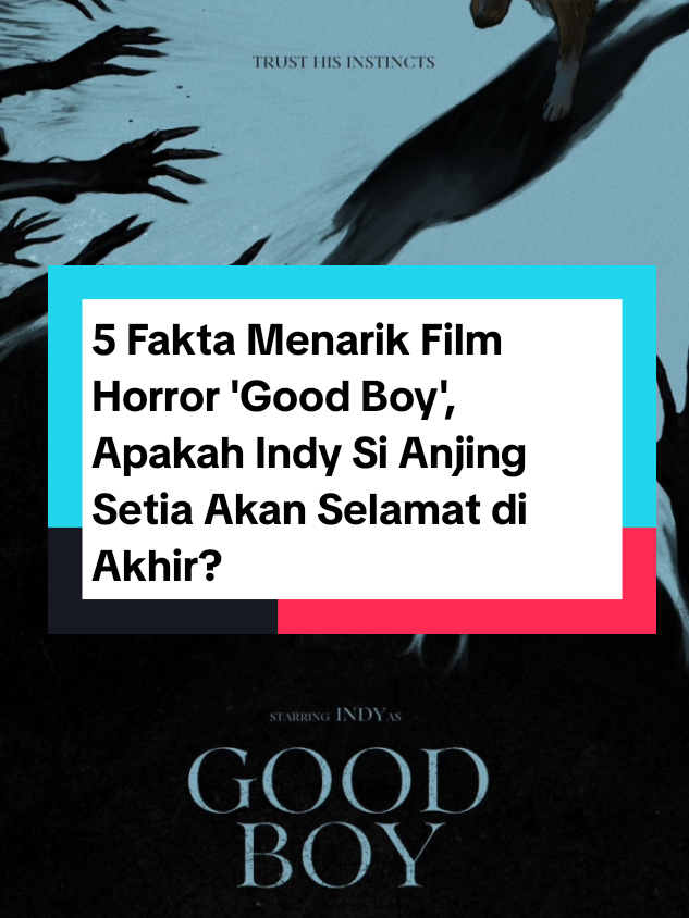 Gimana jadinya ya kalau film horror dibuat dengan sudut pandang dari hewan anjing? Film Good Boy akan memberikan jawabannya. Yuk simak videonya agar mengetahui fakta menarik film horror Good Boy. #popbela #popbelanews #news #goodboy #movie 