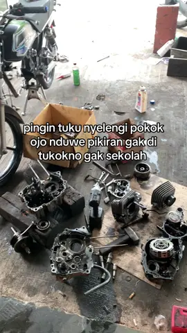 #kmtgarage #kimpetgarage 