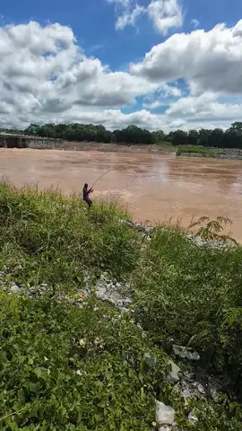 มาเย่อปลากันครับ #ฟีดด #เบ็ดกระชาก #พิษณุโลก 