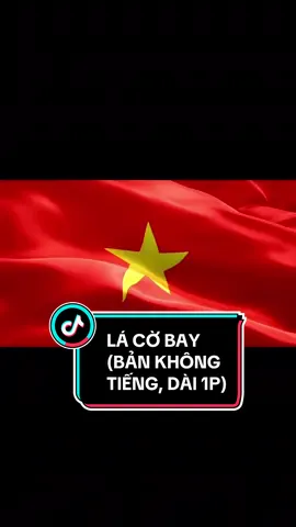 Trả lời @Daisy (Bản dài - Tắt tiếng, không có âm thanh) Video cờ nước CHXHCN Việt Nam tung bay. Video Cờ đỏ sao vàng bay phấp phới. Lá cờ Việt Nam bay phấp phới, lá cờ Việt Nam bay, cờ Việt Nam tung bay, lá cờ bay, lá cờ đỏ bay phấp phới đế mọi người làm video mừng Quốc Khánh 2/9, 30/4,... và video cho các sự kiện yêu nước khác @Cô Ba Edit 👵 #cobaedit #cobareview #quockhanh #codosaovang #toquocvietnam