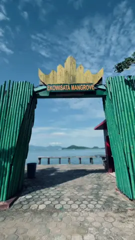 📍 Hutan Mangrove Petengoran 🍃 #hutanmangrove #wisatalampung #fyp #xcyzba #lampungpride 