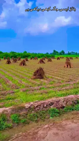 #پنڈاں_الے_جٹ #میرا_سوہنا_پنڈ_ #پنجابی_ادب_جھنگ #1millionaudition #foryoupage100k 