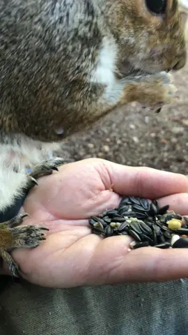 Bertha looked like she had a tick for a minute then she thought something good had fallen between my legs 😁. 