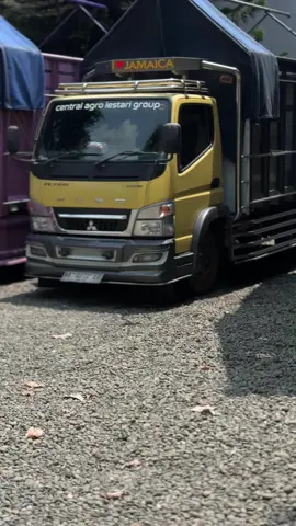 #fyppppppppppppppppppppppp #storytruk #fypage #cantermaniaindonesia 